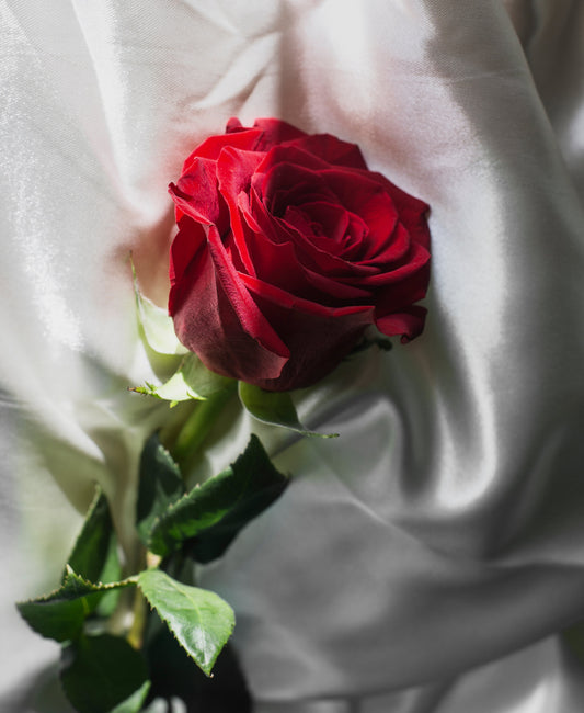 How Sleeping with Multiple Partners Affects Vaginal Health